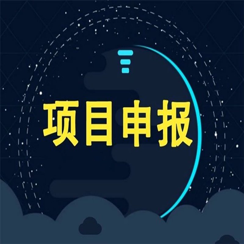 洞察企业脉搏:从管理咨询中汲取力量